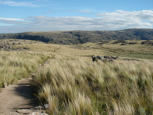 Quebrada del Condorito National Park